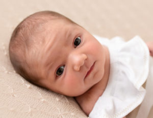 Awake newborn girl posed in our Rochester, NY studio.