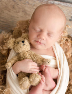 Posed newborn boy at our Rochester, NY studio. 