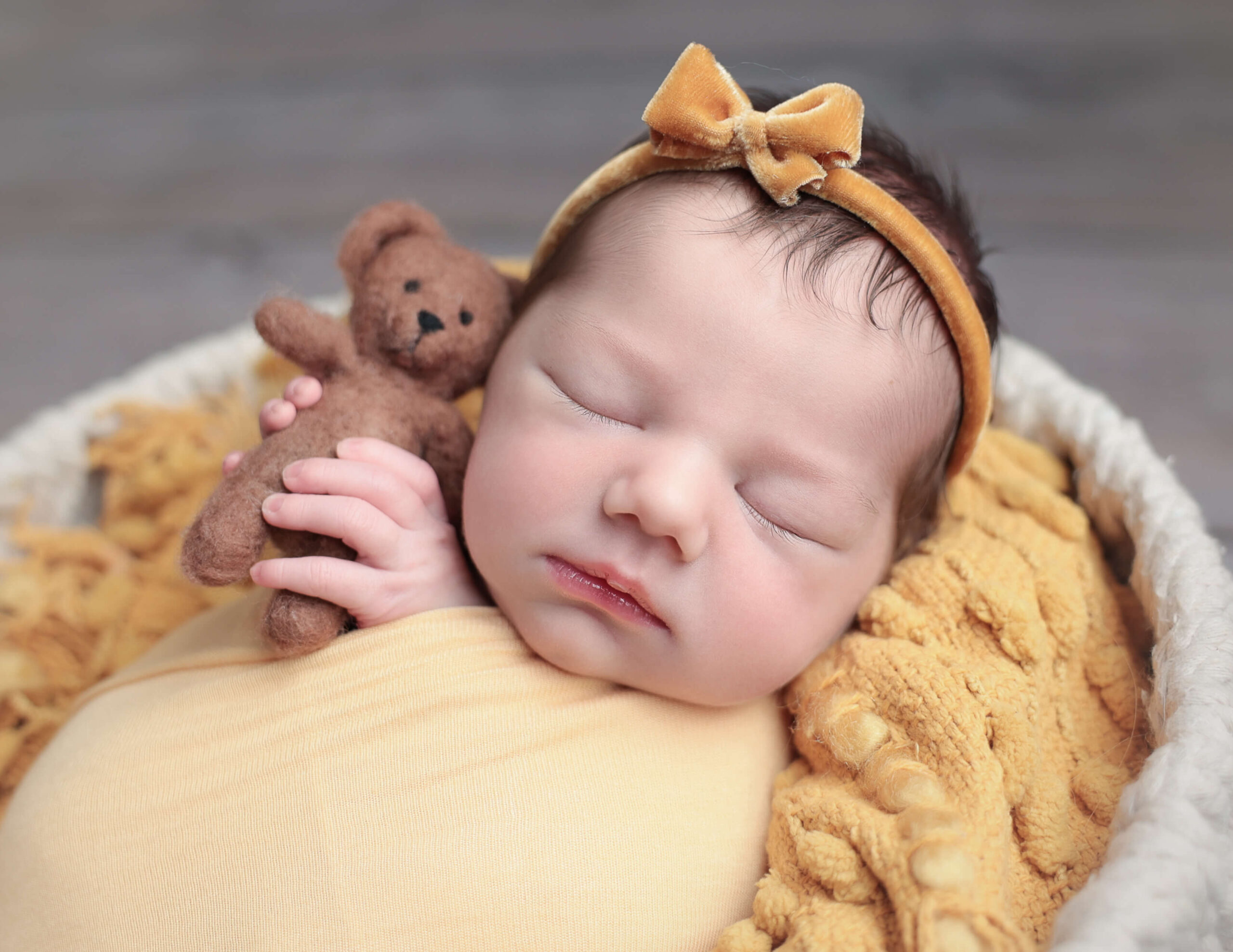 A newborn girl holding a teddy bear in our Rochester, NY studio.