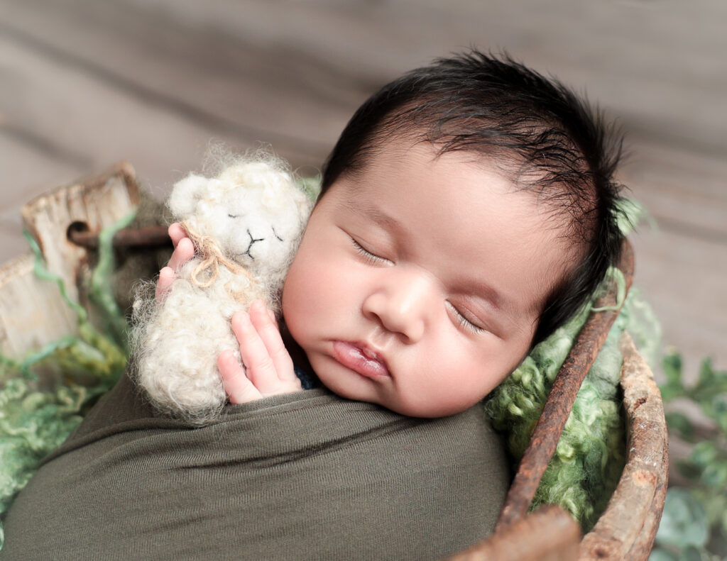 A newborn boy swaddled in a cozy blanket, gently holding a small sheep, captured in a serene pose at MJ Memories Photography studio in Rochester, NY.