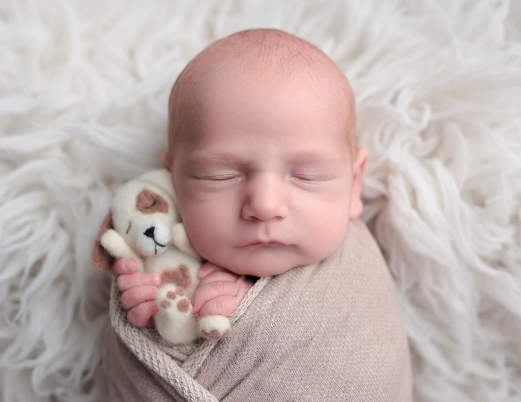 Cute newborn boy posed at our Rochester, NY studio.